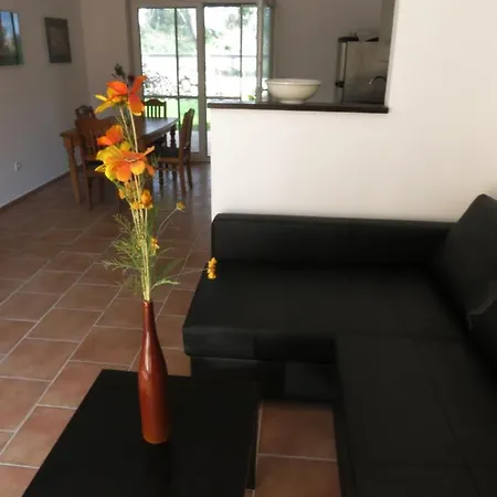 Ferienhouse Mit Pool Orange *